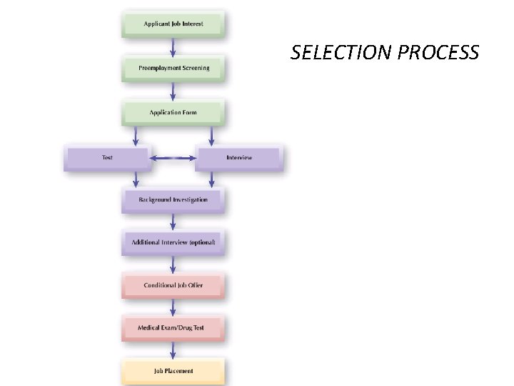 SELECTION PROCESS 