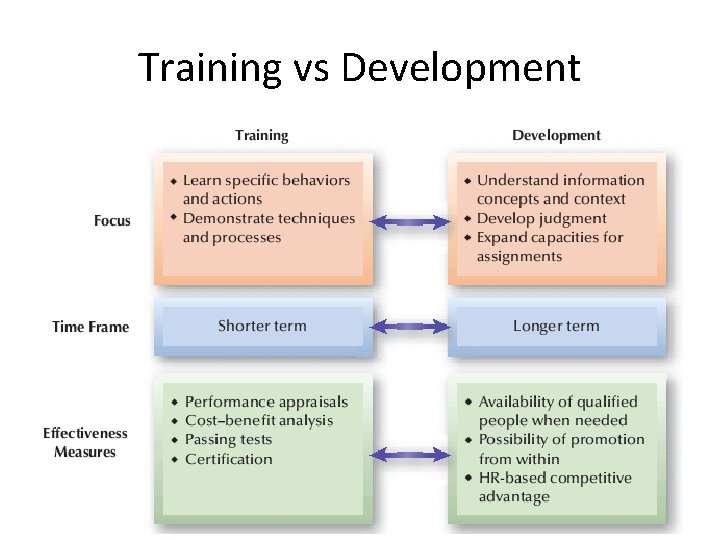 Training vs Development 