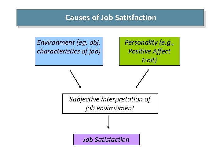 Causes of Job Satisfaction Environment (eg. obj. characteristics of job) Personality (e. g. ,