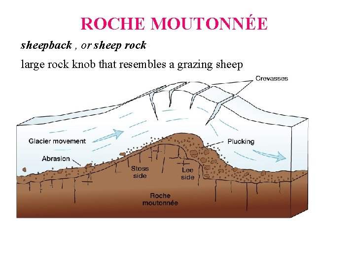 ROCHE MOUTONNÉE sheepback , or sheep rock large rock knob that resembles a grazing