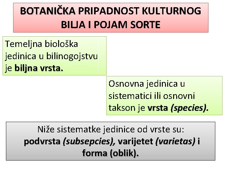 BOTANIČKA PRIPADNOST KULTURNOG BILJA I POJAM SORTE Temeljna biološka jedinica u bilinogojstvu je biljna