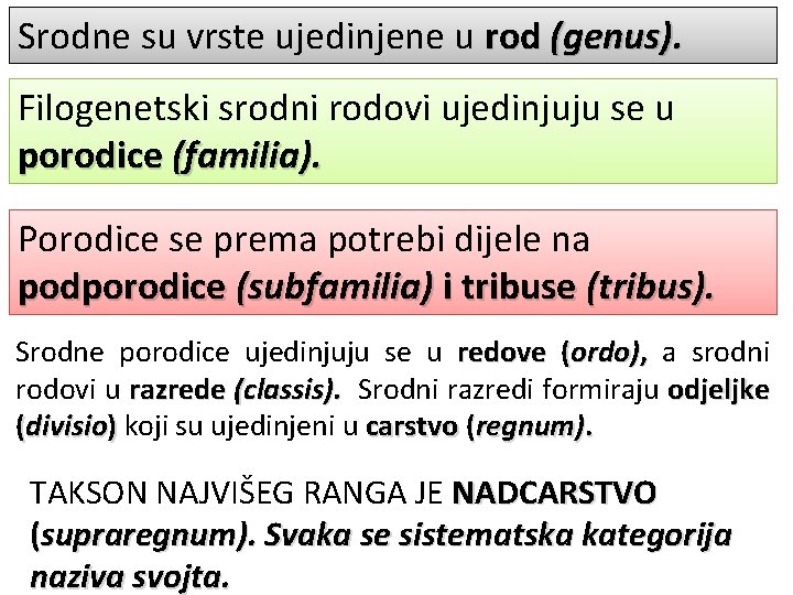 Srodne su vrste ujedinjene u rod (genus). Filogenetski srodni rodovi ujedinjuju se u porodice