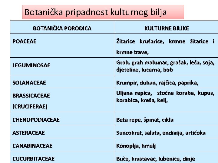 Botanička pripadnost kulturnog bilja BOTANIČKA PORODICA POACEAE KULTURNE BILJKE Žitarice krušarice, krmne žitarice i