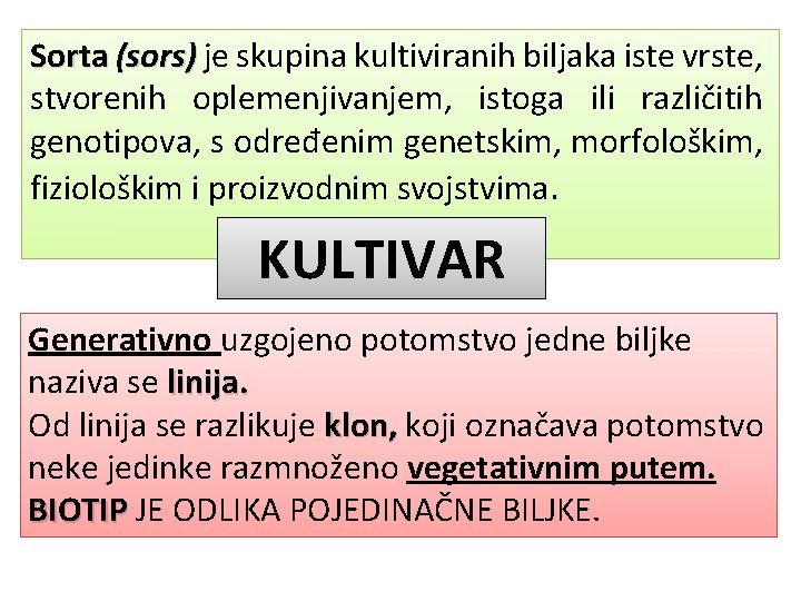 Sorta (sors) je skupina kultiviranih biljaka iste vrste, stvorenih oplemenjivanjem, istoga ili različitih genotipova,