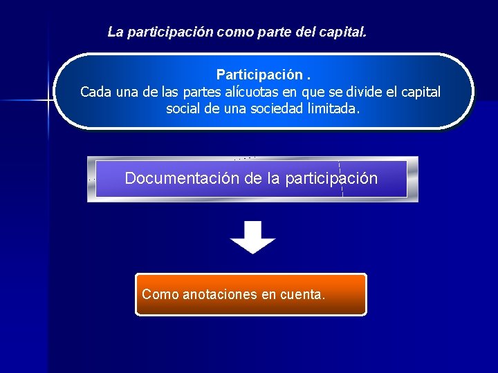 La participación como parte del capital. Participación. Cada una de las partes alícuotas en