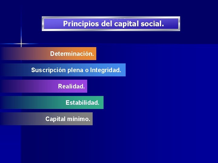 Principios del capital social. Determinación. Suscripción plena o Integridad. Realidad. Estabilidad. Capital mínimo. 