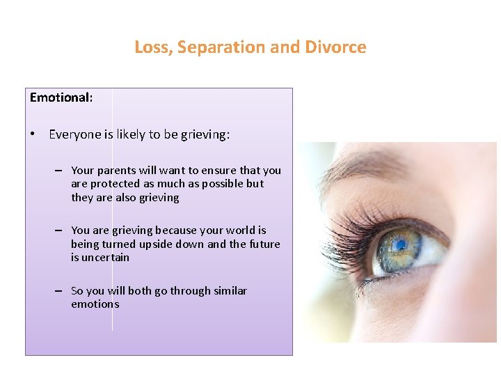 Loss, Separation and Divorce Emotional: • Everyone is likely to be grieving: – Your