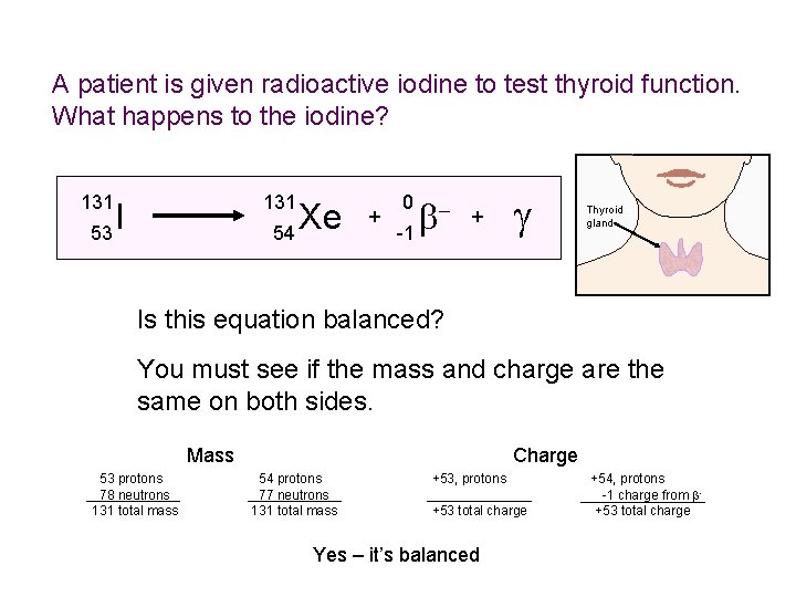 A patient is given radioactive iodine to test thyroid function. What happens to the