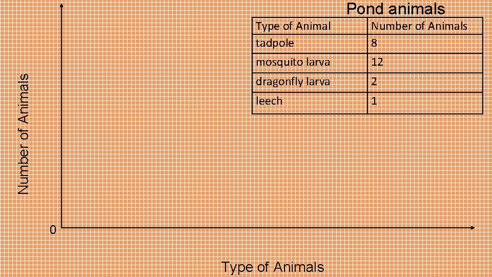 Number of Animals Pond animals Type of Animal tadpole Number of Animals 8 mosquito