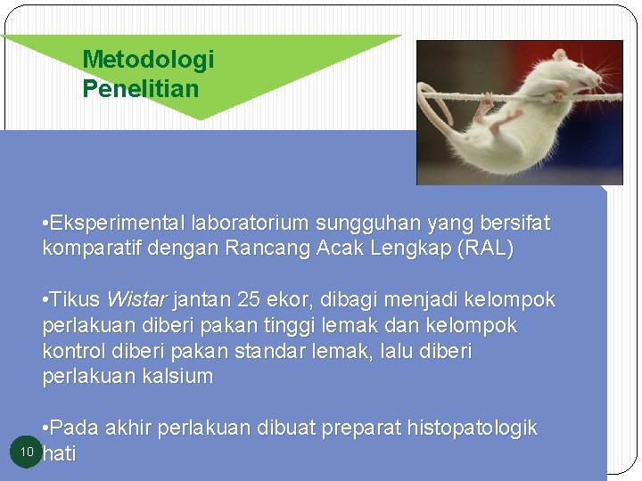 Metodologi Penelitian • Eksperimental laboratorium sungguhan yang bersifat komparatif dengan Rancang Acak Lengkap (RAL)