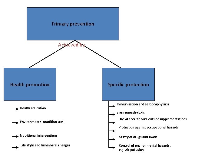 Primary prevention Achieved by Health promotion Health education Environmental modifications Specific protection Immunization and