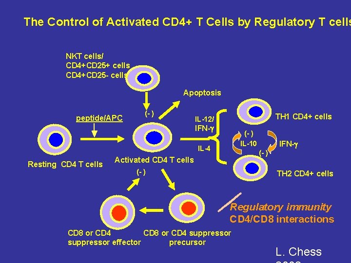 The Control of Activated CD 4+ T Cells by Regulatory T cells NKT cells/