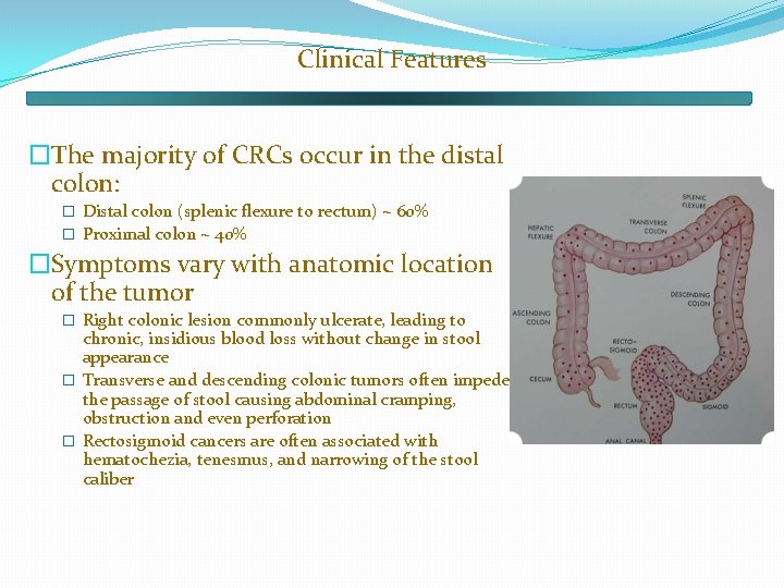 Clinical Features �The majority of CRCs occur in the distal colon: � Distal colon