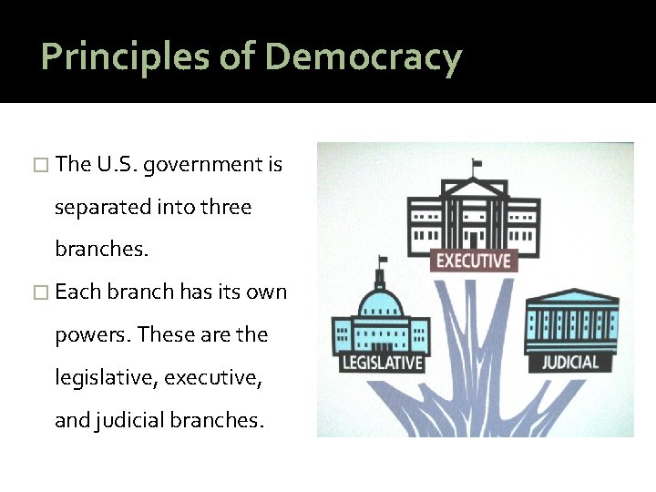 Principles of Democracy � The U. S. government is separated into three branches. �