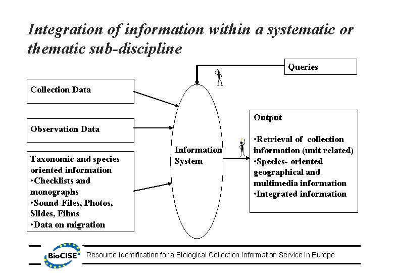 Integration of information within a systematic or thematic sub-discipline Queries Collection Data Output Observation