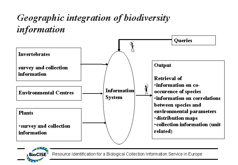 Geographic integration of biodiversity information Queries Invertebrates Output survey and collection information Environmental Centres
