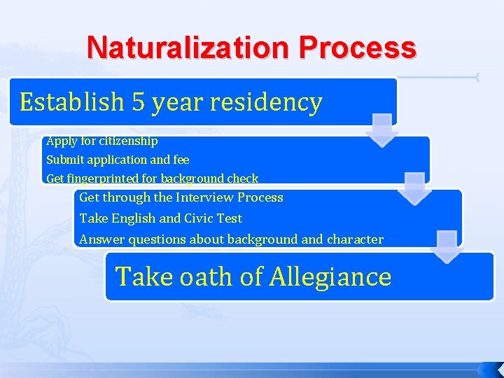 Naturalization Process Establish 5 year residency Apply for citizenship Submit application and fee Get