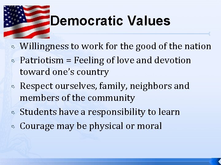 Democratic Values Willingness to work for the good of the nation Patriotism = Feeling