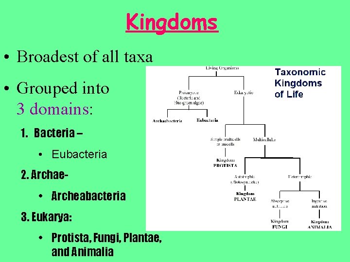 Kingdoms • Broadest of all taxa • Grouped into 3 domains: 1. Bacteria –