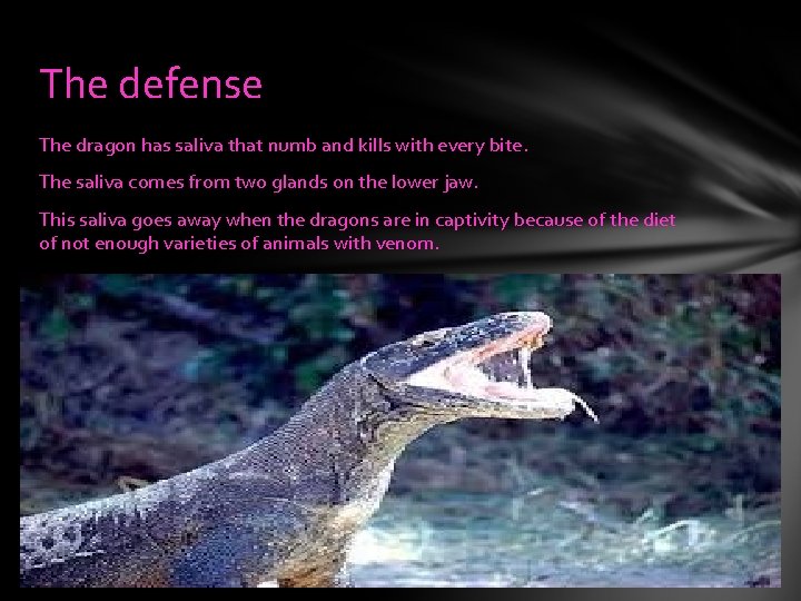 The defense The dragon has saliva that numb and kills with every bite. The