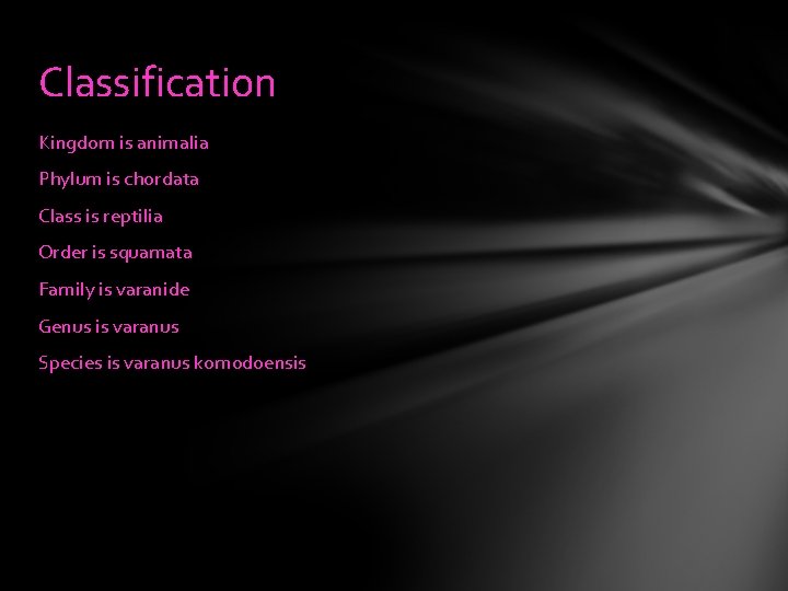 Classification Kingdom is animalia Phylum is chordata Class is reptilia Order is squamata Family