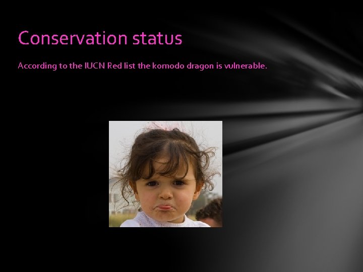Conservation status According to the IUCN Red list the komodo dragon is vulnerable. 