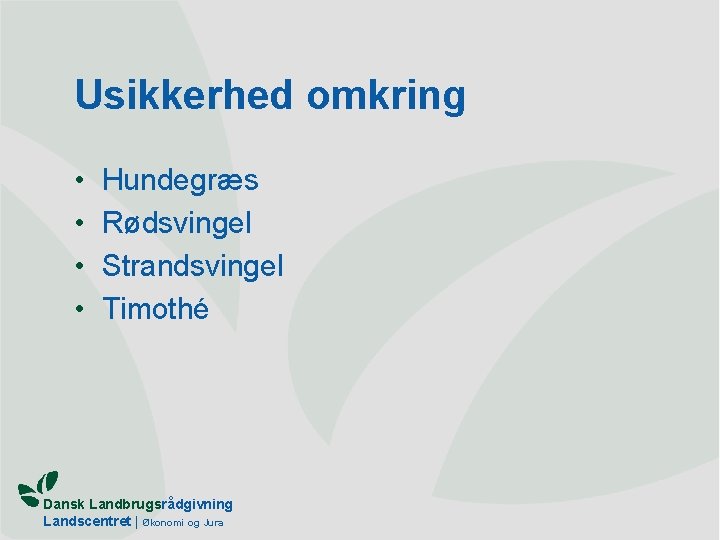 Usikkerhed omkring • • Hundegræs Rødsvingel Strandsvingel Timothé Dansk Landbrugsrådgivning Landscentret | Økonomi og