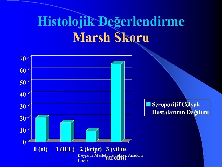 Histolojik Değerlendirme Marsh Skoru Beyşehir Mesleki ve Teknik Anadolu Lisesi 