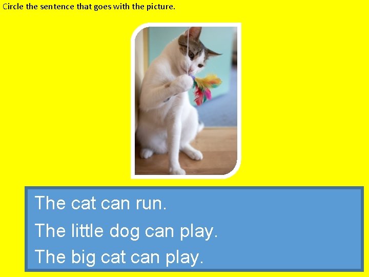 Circle the sentence that goes with the picture. The cat can run. The little