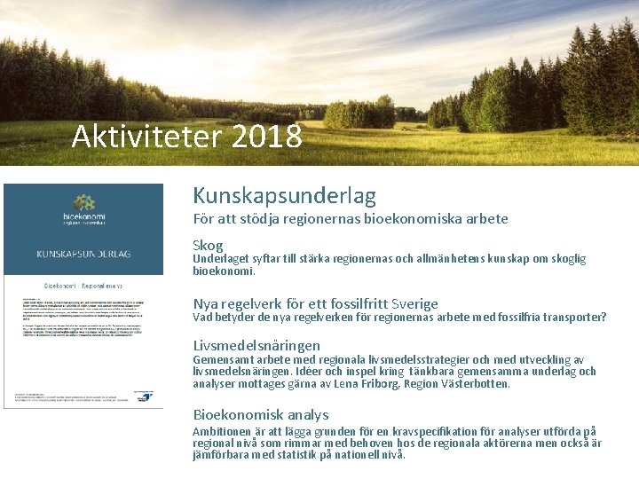 Aktiviteter 2018 Kunskapsunderlag För att stödja regionernas bioekonomiska arbete Skog Underlaget syftar till stärka