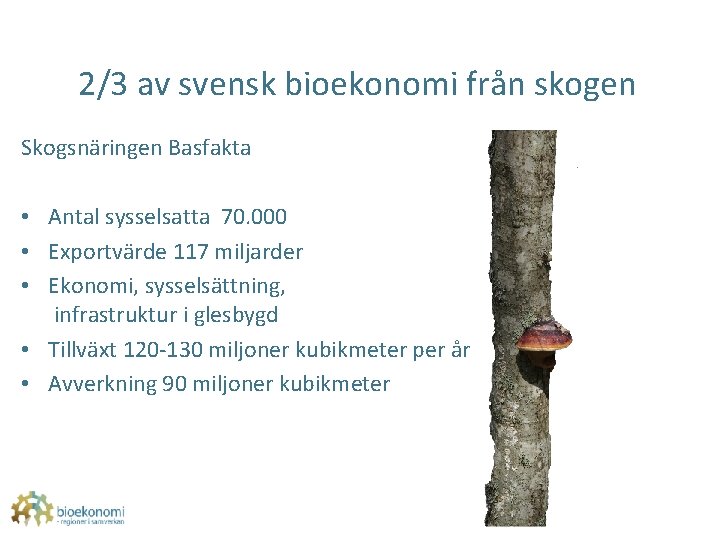 2/3 av svensk bioekonomi från skogen Skogsnäringen Basfakta • Antal sysselsatta 70. 000 •