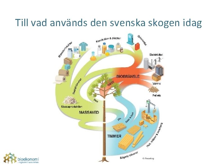 Till vad används den svenska skogen idag 