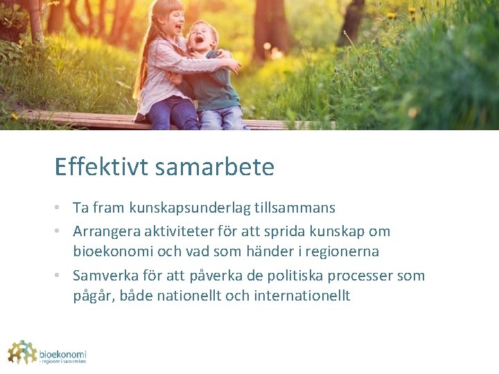 Effektivt samarbete • Ta fram kunskapsunderlag tillsammans • Arrangera aktiviteter för att sprida kunskap