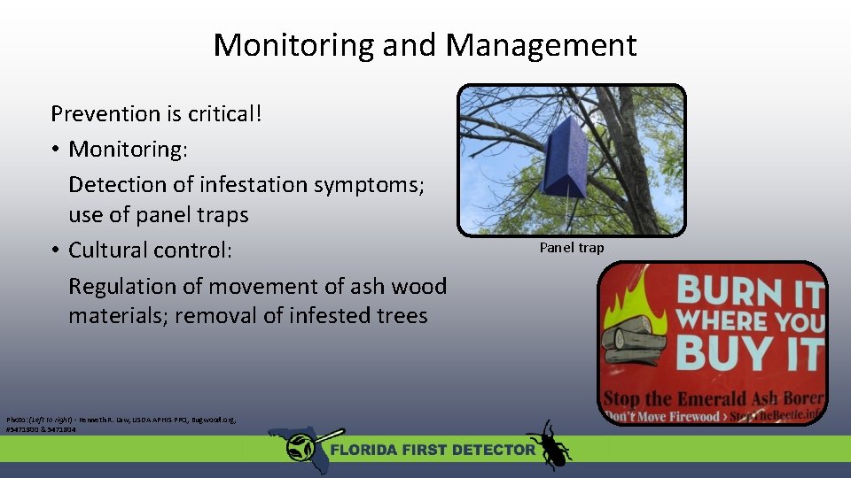 Monitoring and Management Prevention is critical! • Monitoring: Detection of infestation symptoms; use of