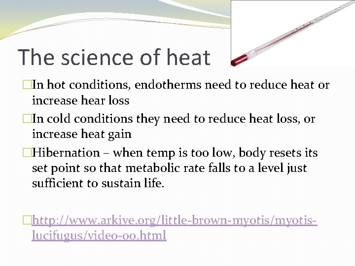 The science of heat �In hot conditions, endotherms need to reduce heat or increase