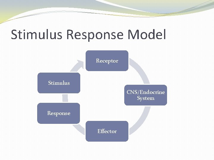 Stimulus Response Model Receptor Stimulus CNS/Endocrine System Response Effector 