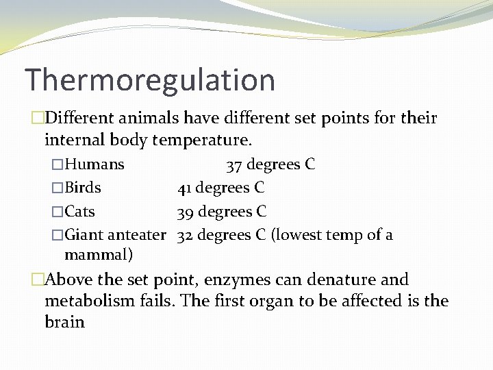 Thermoregulation �Different animals have different set points for their internal body temperature. �Humans 37