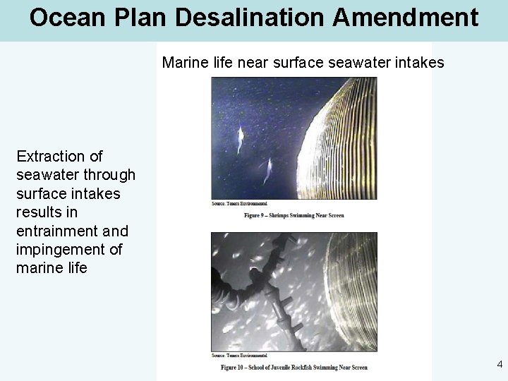Ocean Plan Desalination Amendment Marine life near surface seawater intakes Extraction of seawater through