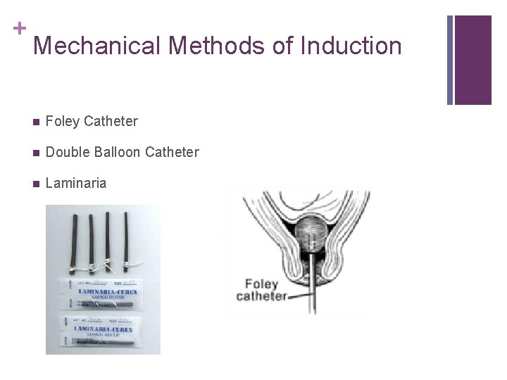+ Mechanical Methods of Induction n Foley Catheter n Double Balloon Catheter n Laminaria