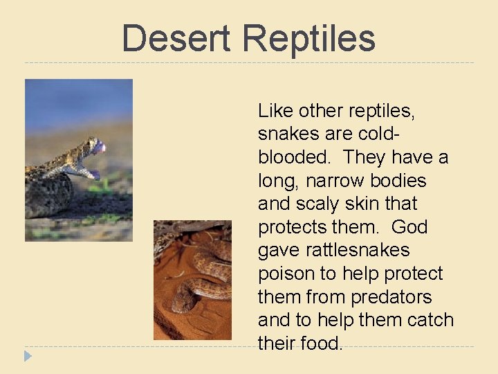 Desert Reptiles Like other reptiles, snakes are coldblooded. They have a long, narrow bodies