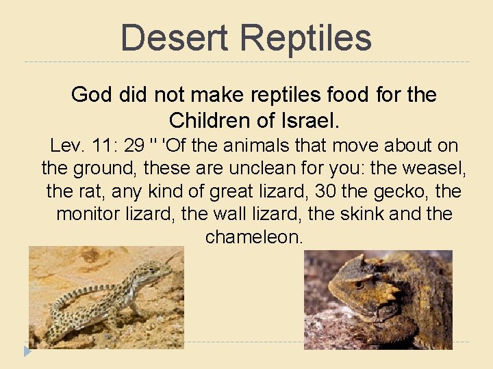 Desert Reptiles God did not make reptiles food for the Children of Israel. Lev.