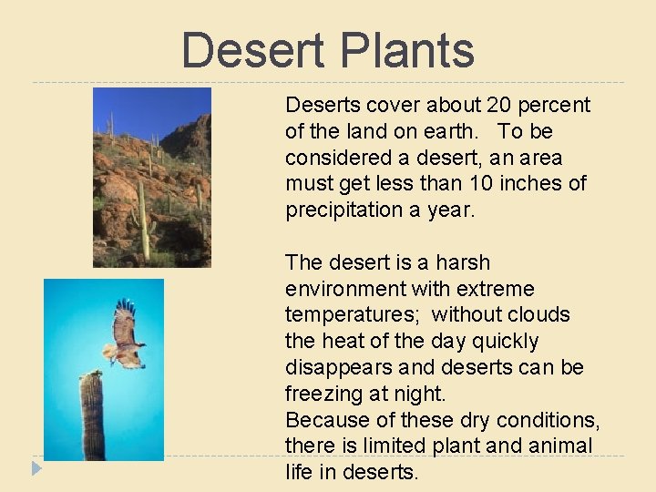 Desert Plants Deserts cover about 20 percent of the land on earth. To be