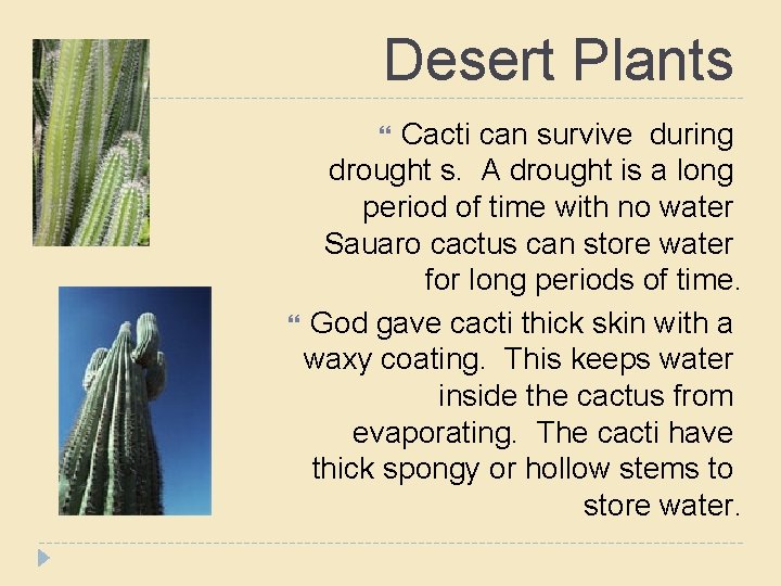 Desert Plants Cacti can survive during drought s. A drought is a long period