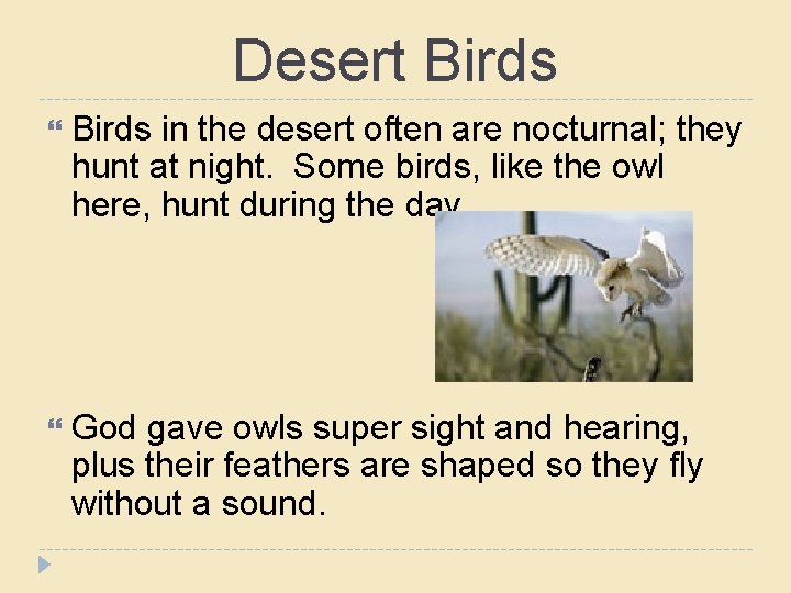 Desert Birds in the desert often are nocturnal; they hunt at night. Some birds,