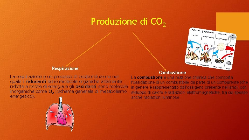 Produzione di CO 2 Respirazione La respirazione è un processo di ossidoriduzione nel quale