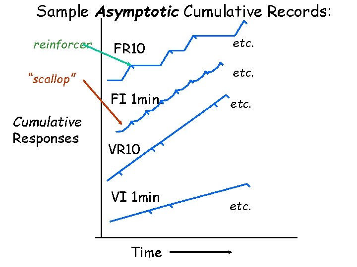 Sample Asymptotic Cumulative Records: reinforcer FR 10 etc. “scallop” FI 1 min. Cumulative Responses