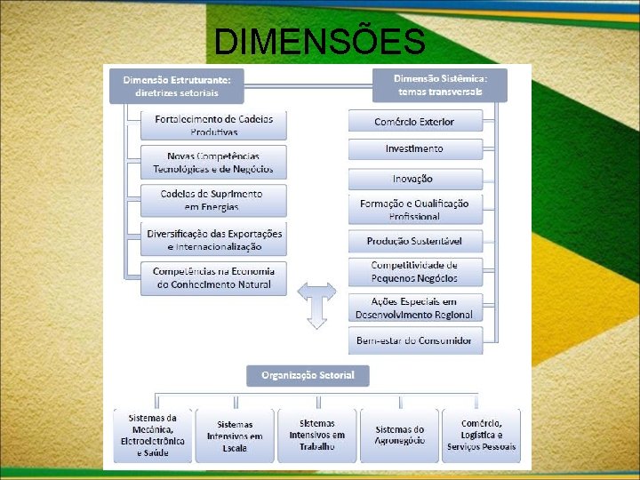 DIMENSÕES 