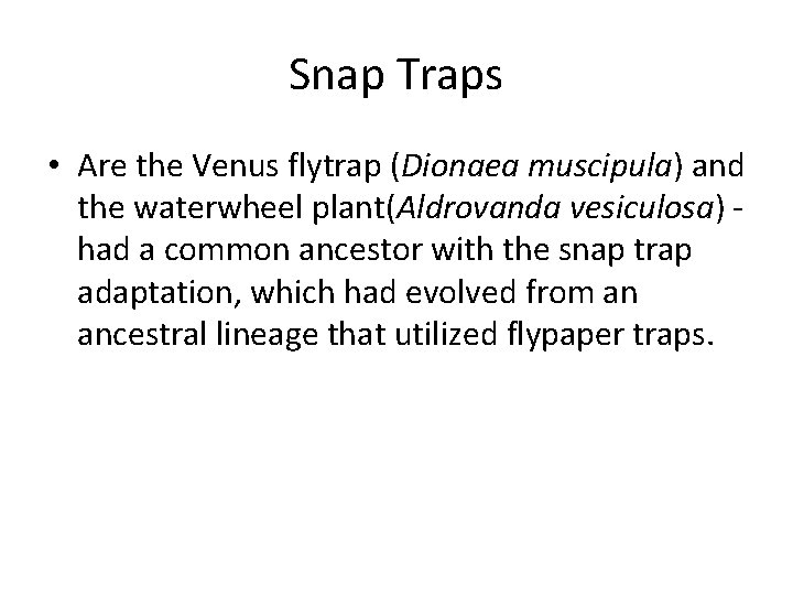 Snap Traps • Are the Venus flytrap (Dionaea muscipula) and the waterwheel plant(Aldrovanda vesiculosa)