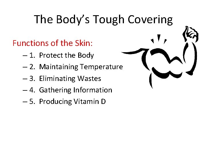 The Body’s Tough Covering Functions of the Skin: – 1. – 2. – 3.