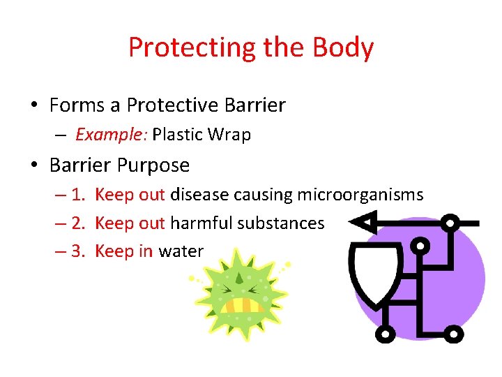 Protecting the Body • Forms a Protective Barrier – Example: Plastic Wrap • Barrier